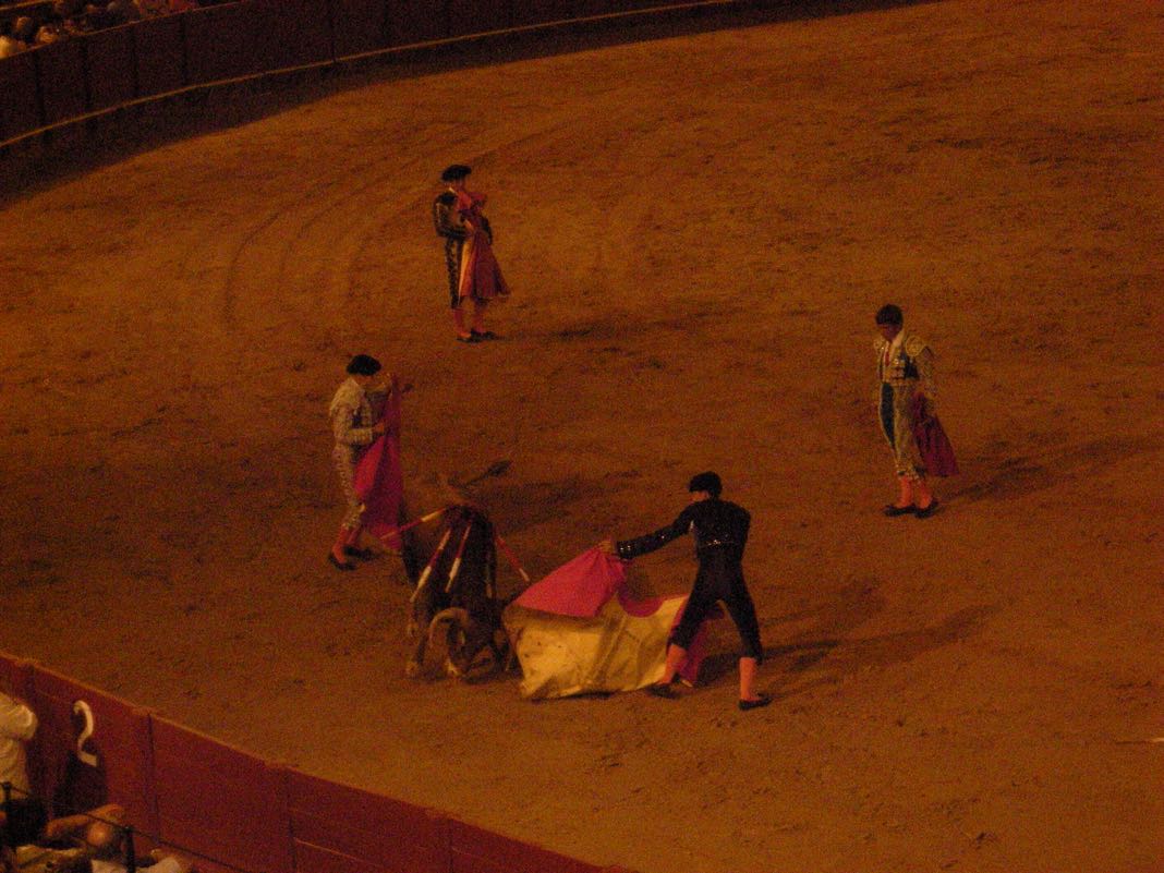 Bull Fighting in Spain