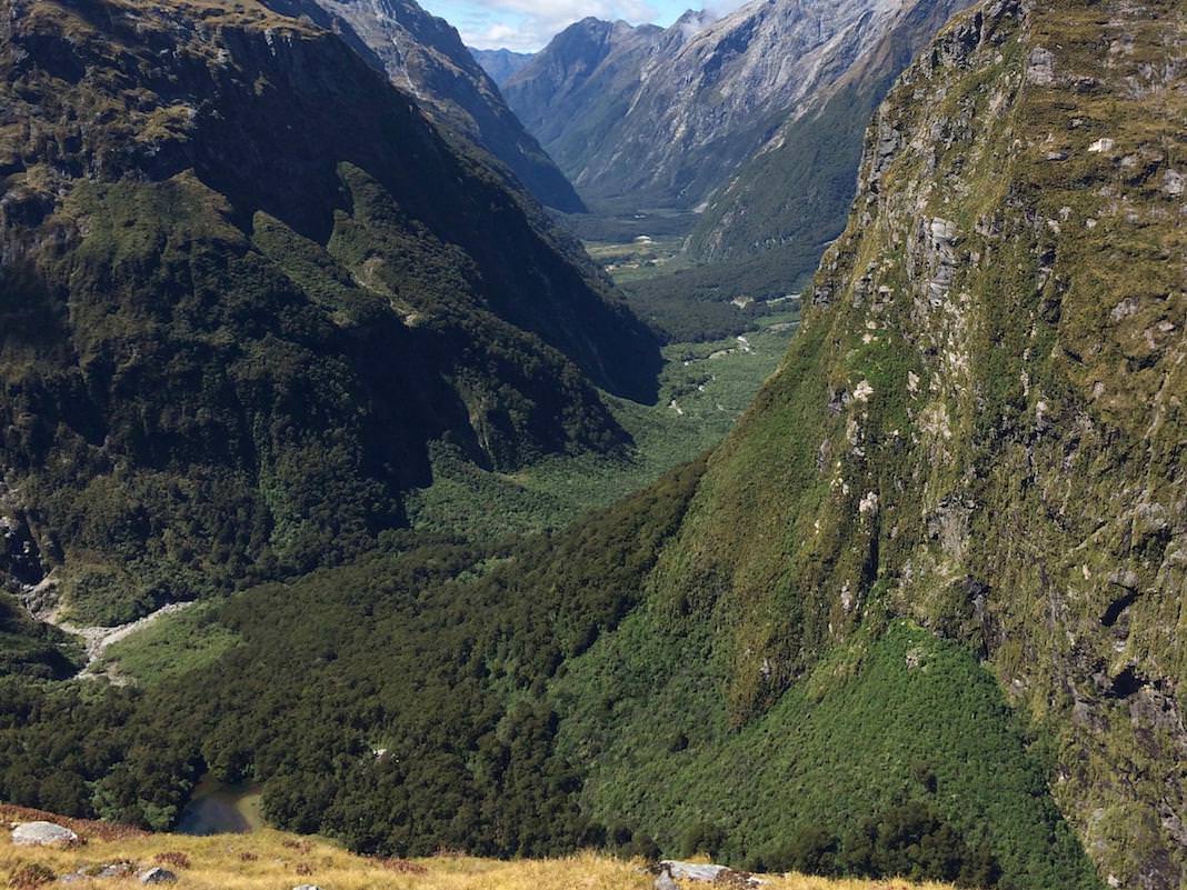 Milford Track Valley
