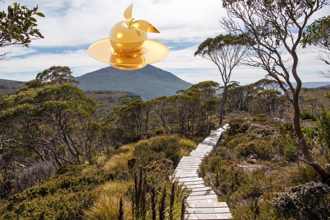 Overland Track Tasmania Golden Apple