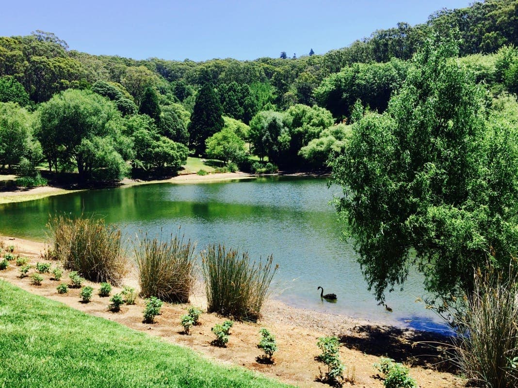 Mount Lofty Botanic Garden Lake in Adelaide