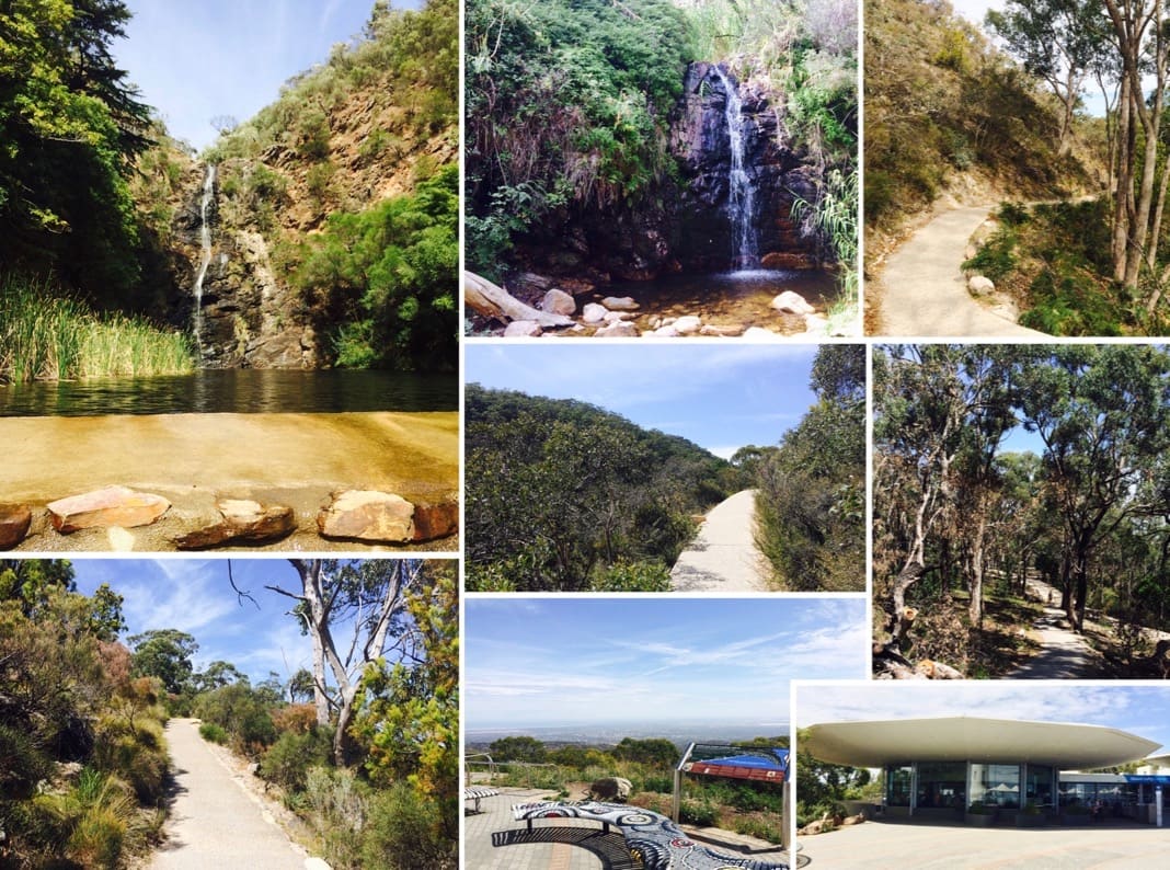 Waterfall Gully to Mount Lofty Hike Pictures