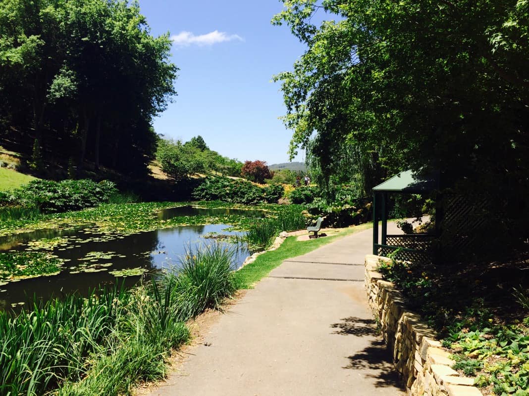 Best Walks in Adelaide Mount Lofty Botanic Gardens Footpath