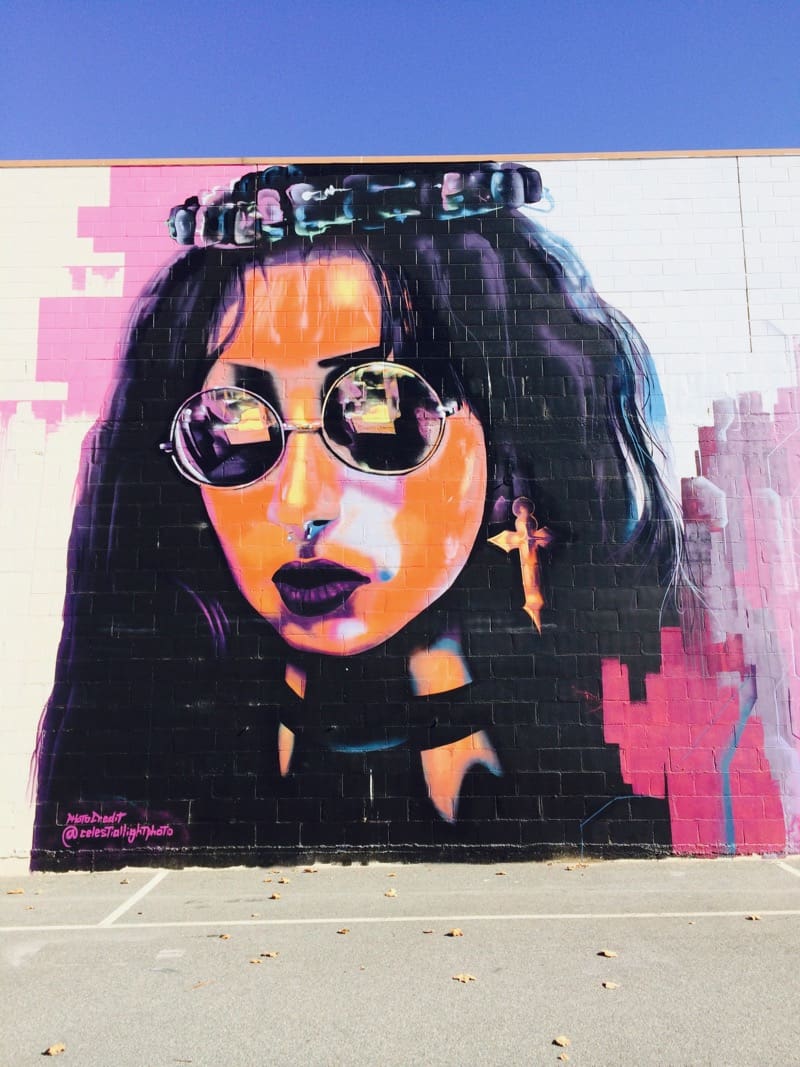 Punk Lady Mural Port Adelaide Artist Zedr