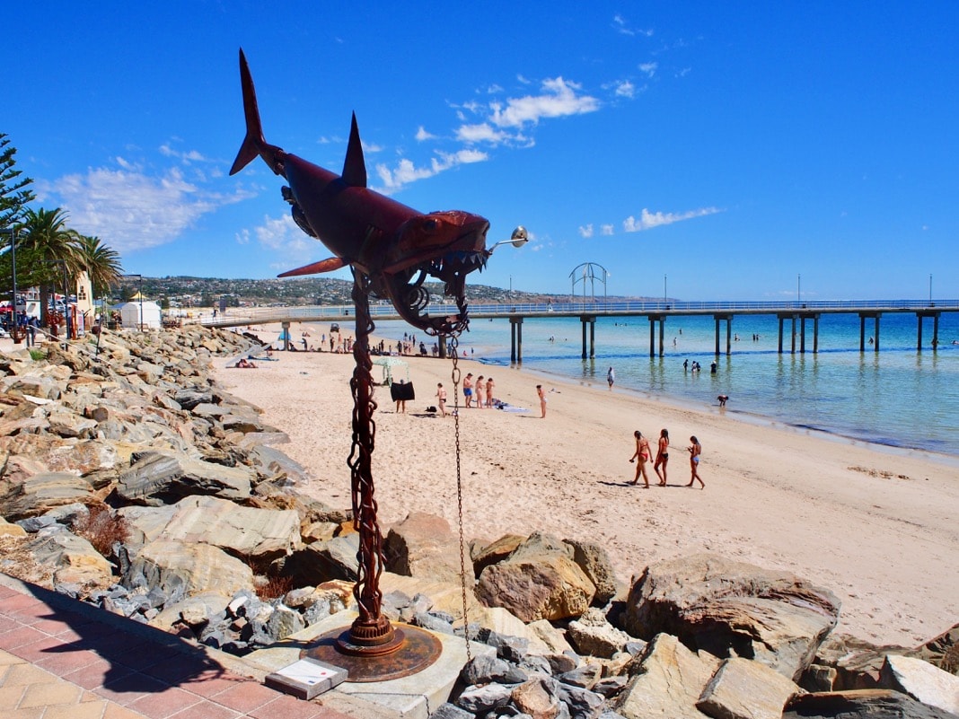 Shark Sculpture Patritti Adelaide Brighton Jetty Sculptures 2022