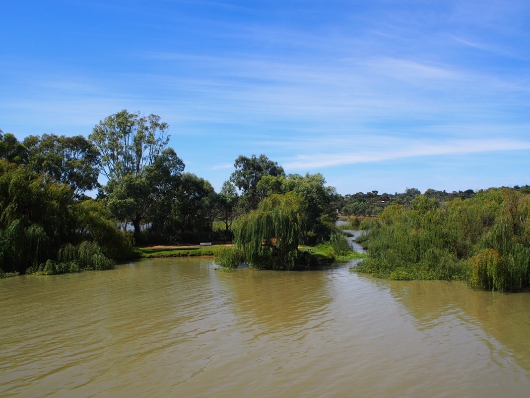 River Murray Views