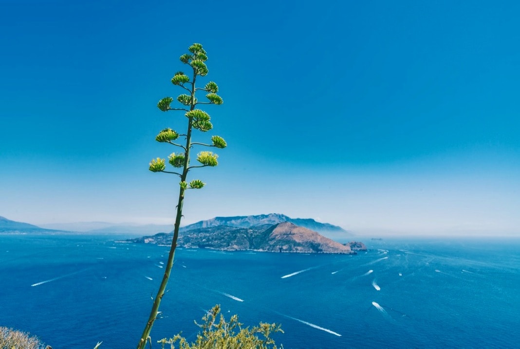 Capri Italy The Amalfi Coast