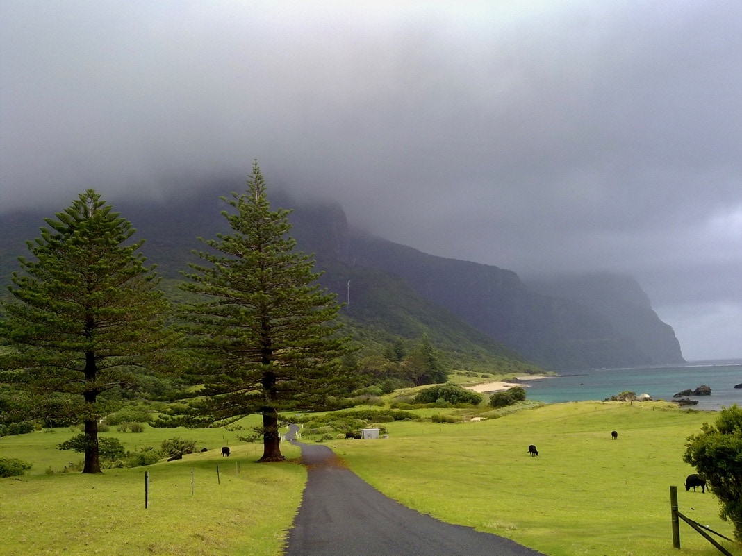 Mount Gower Walk Lord Howe Island