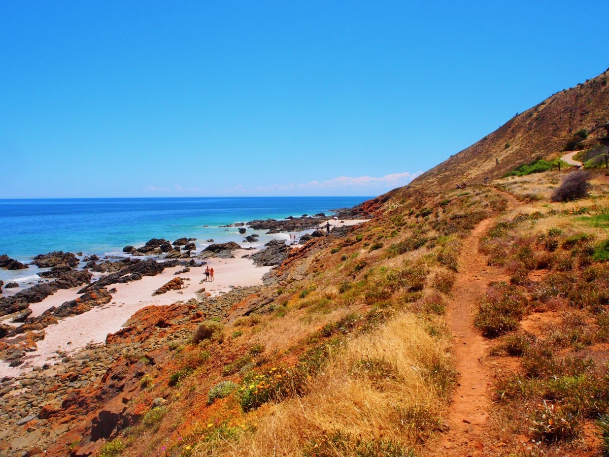 Goat Track leading to Secret Cove Beach Carrickalinga