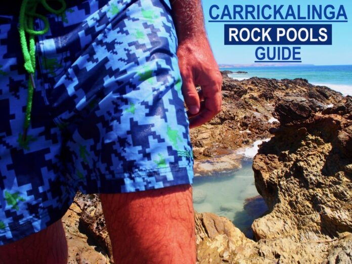 Carrickalinga Rock Pools Guide