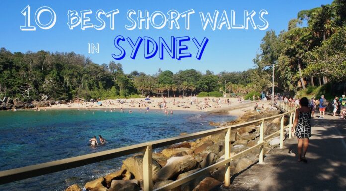 Best Short Walks in Sydney