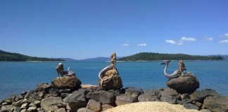 Best Road Trips in Australia Daydream Island