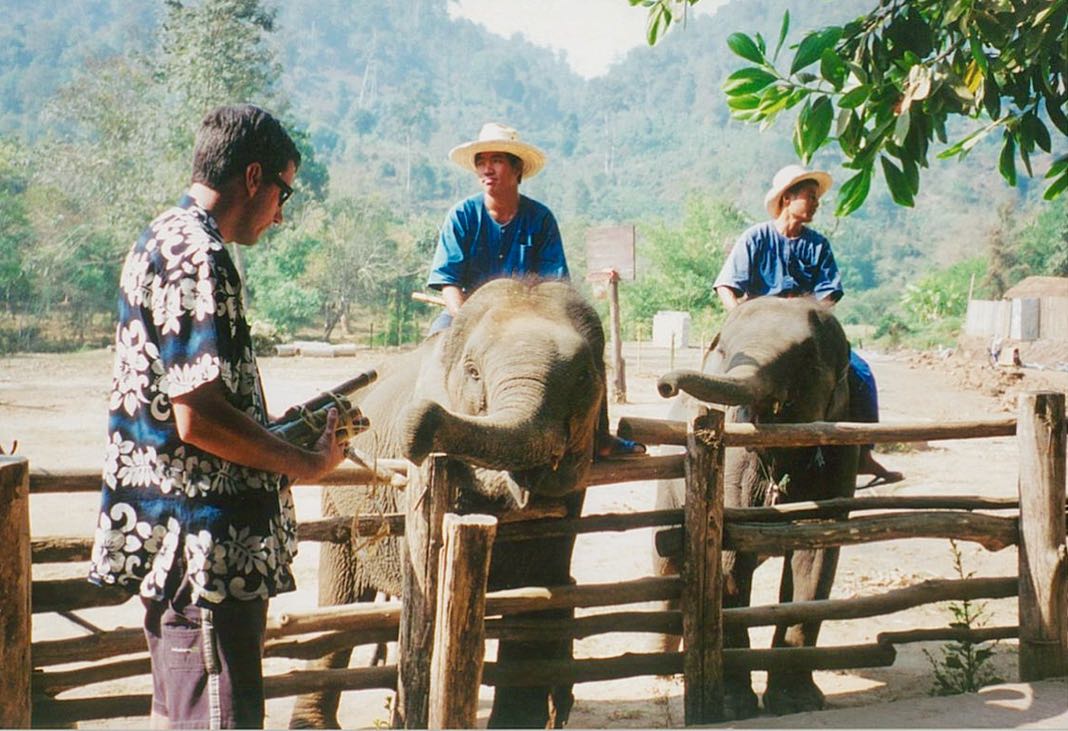 Feeding Elephants in Thailand