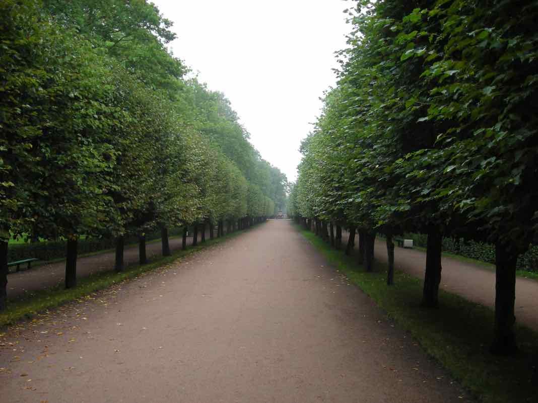 Peterhof Gardens St Petersburg