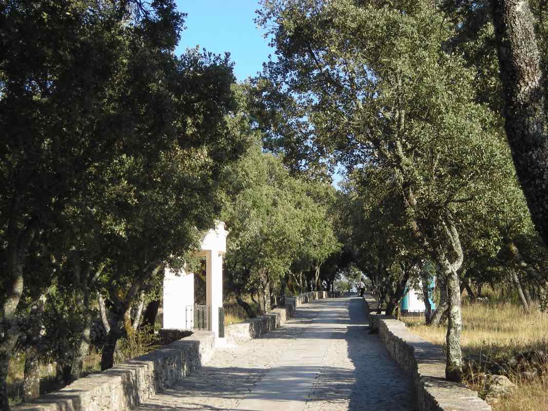 Holy Path in Fatima Portugal