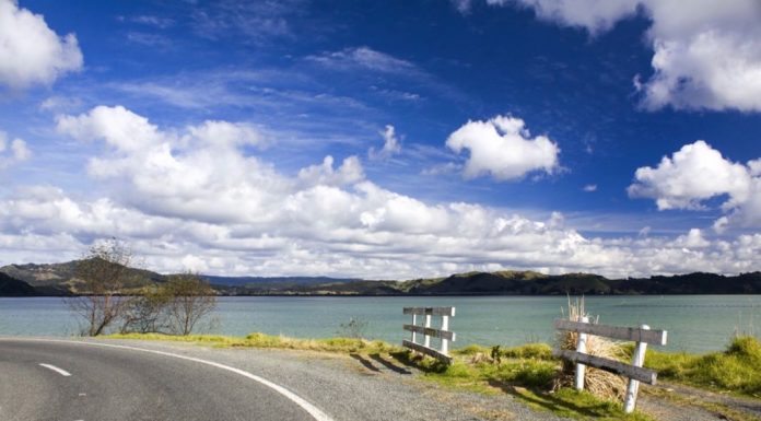 Best New Zealand Road Trip