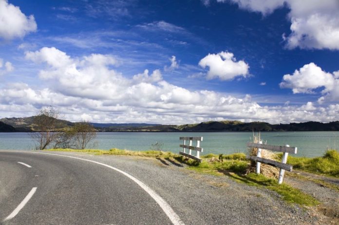 Best New Zealand Road Trip