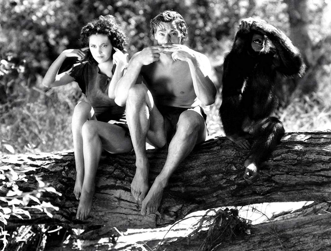 Best Travel Movies Inspiration Tarzan
