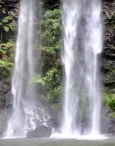 Springbrook National Park Waterfall