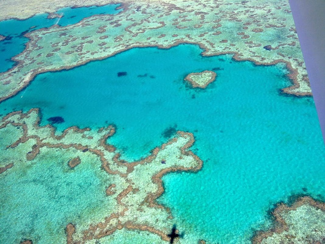 Heart Reef Great Barrier Reef Australia