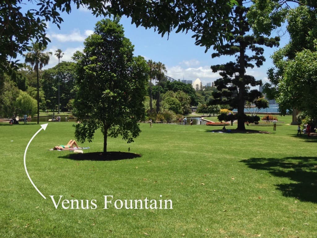 Venus Fountain Royal Botanic Gardens Sydney