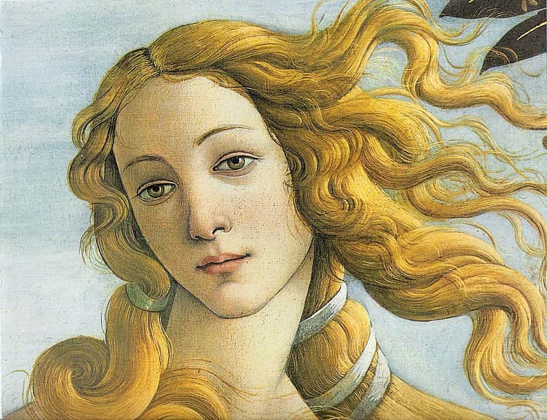 The Birth of Venus Aphrodite