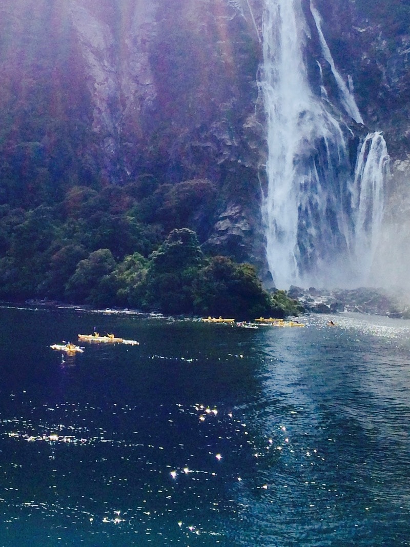 Milford Sound Kayakers