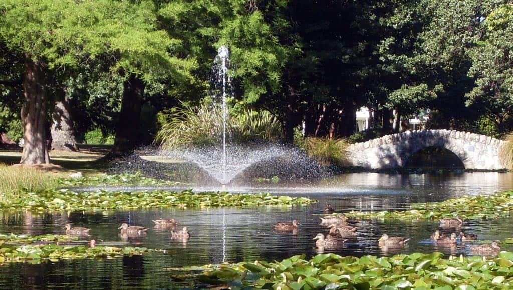 Walk in Queenstown Gardens