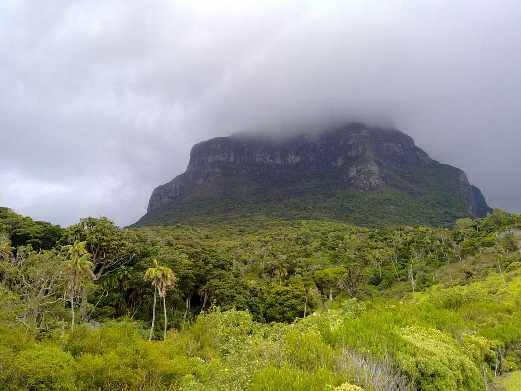 Mount Lidgbird