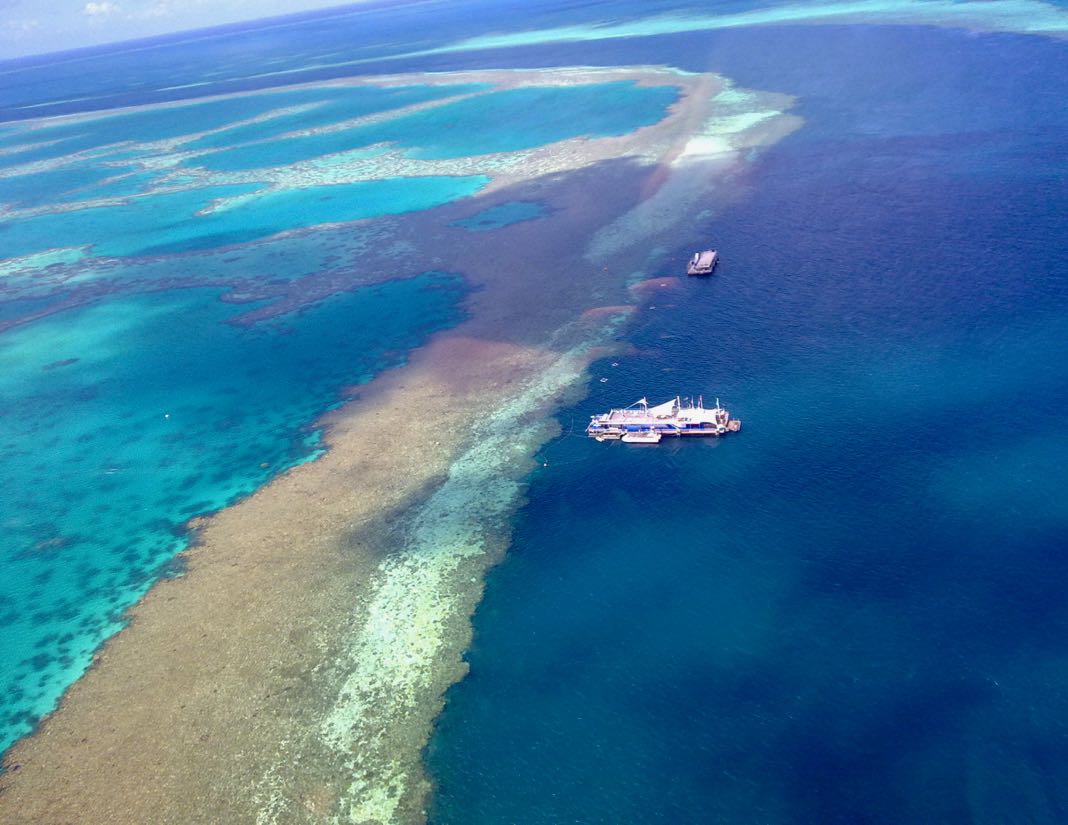 Great Barrier Reef Hardy Reef Pontoon
