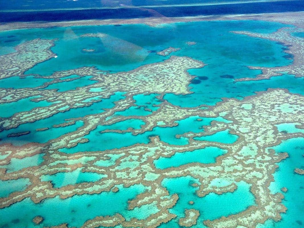 Hardy Reef Great Barrier Reef Whitsundays