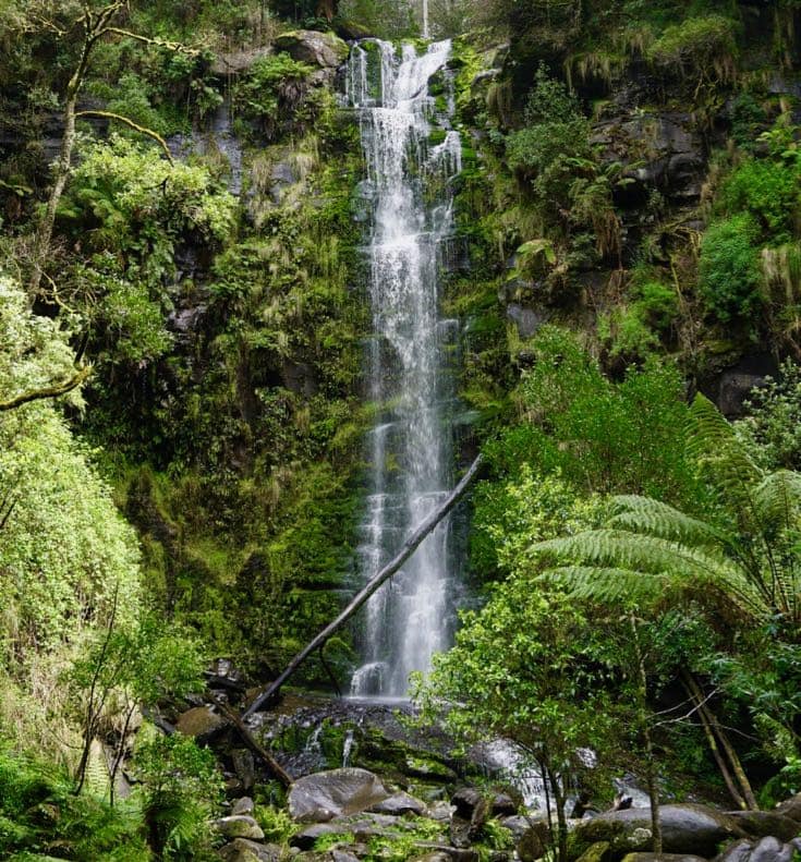 Erskine falls Great Ocean Road side trip