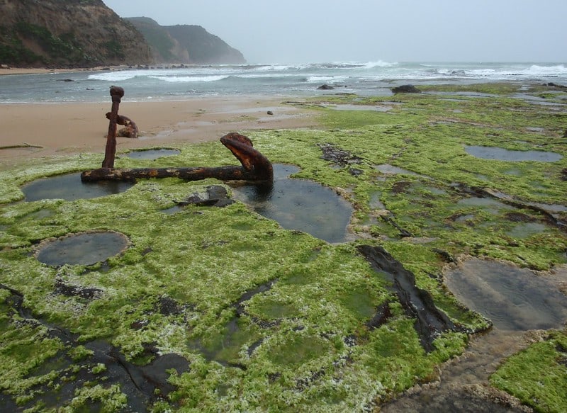 Wreck Beach Victoria