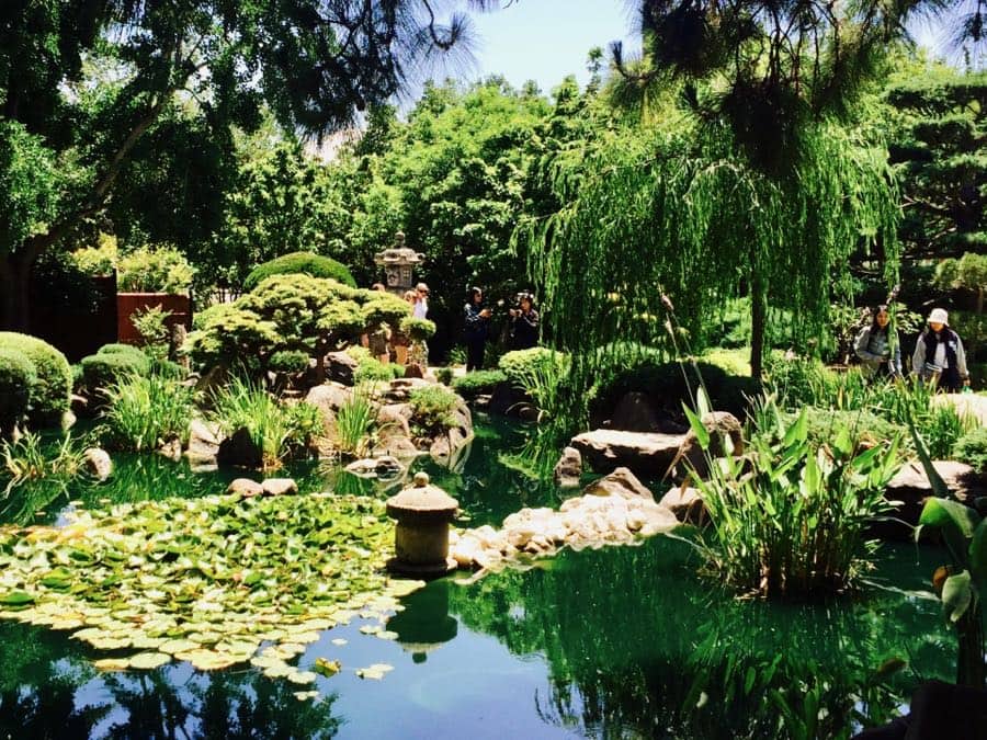 Beautiful Japanese Garden in Adelaide