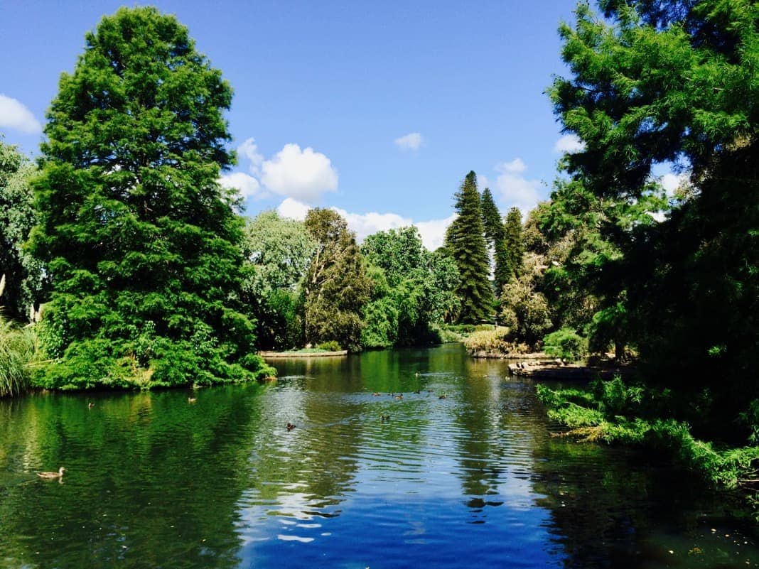 Beautiful Lake Adelaide Botanic Gardens