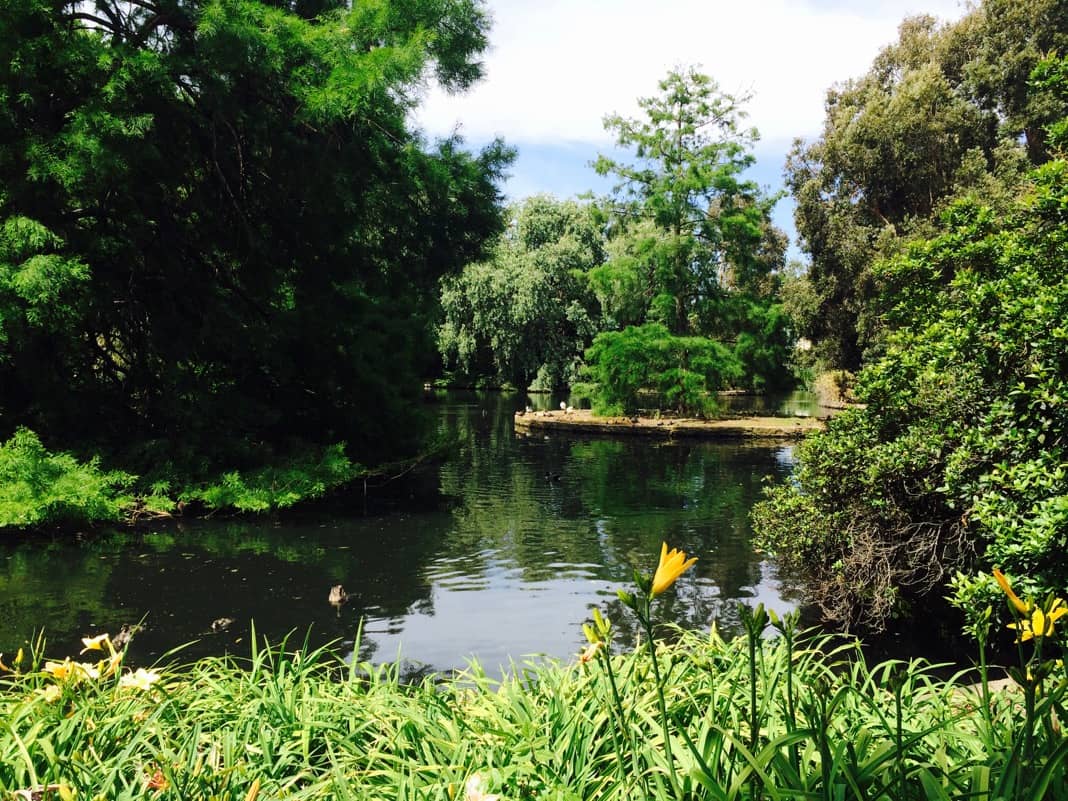 Best Things to do in Adelaide Visit Adelaide Botanic Gardens