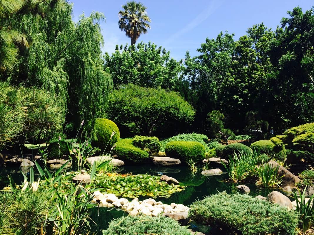 Best things to do in Adelaide Visit Adelaide Himeji Gardens