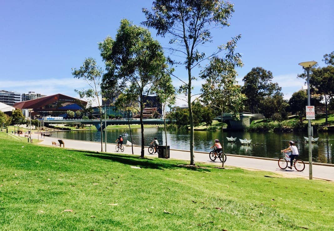 Bike riders cycling along the River Torrens