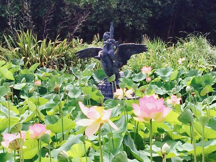 Boy on a swan statue Botanic Gardens of South Australia