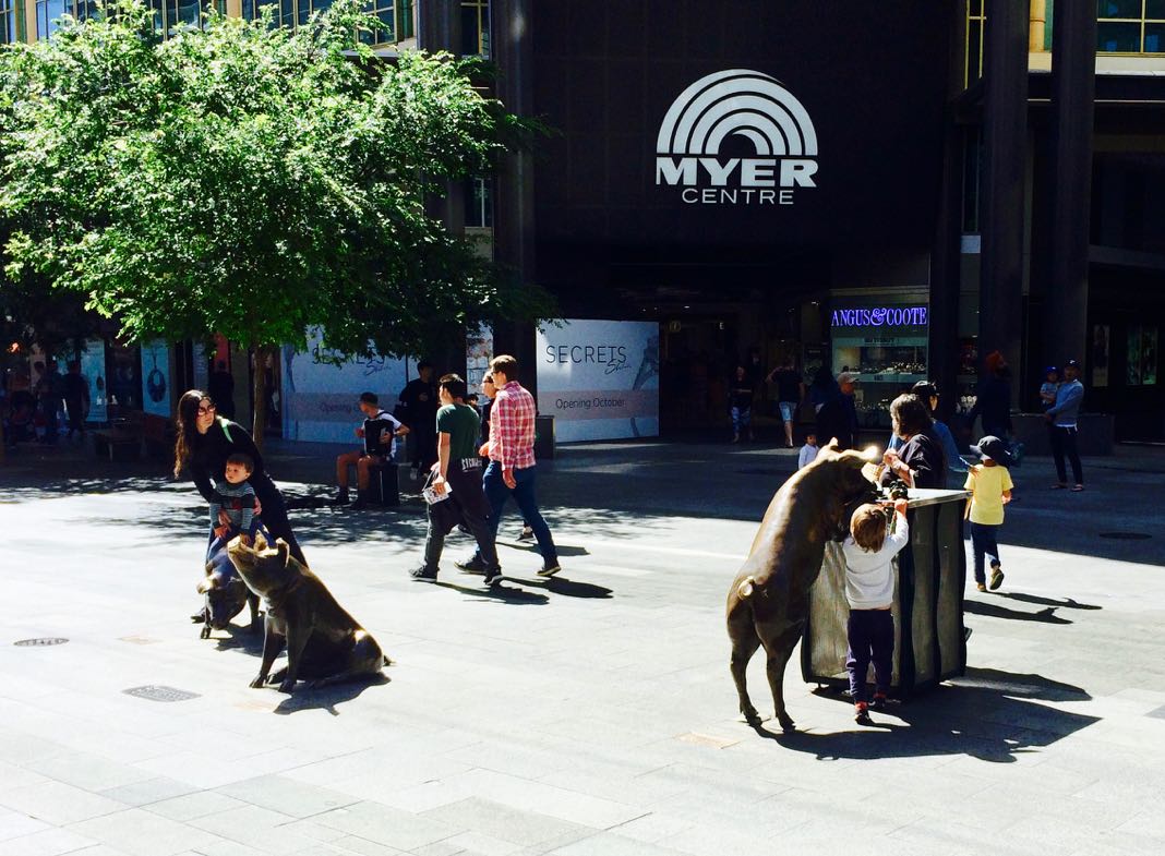 Rundle Mall Pigs Best things to see in Adelaide