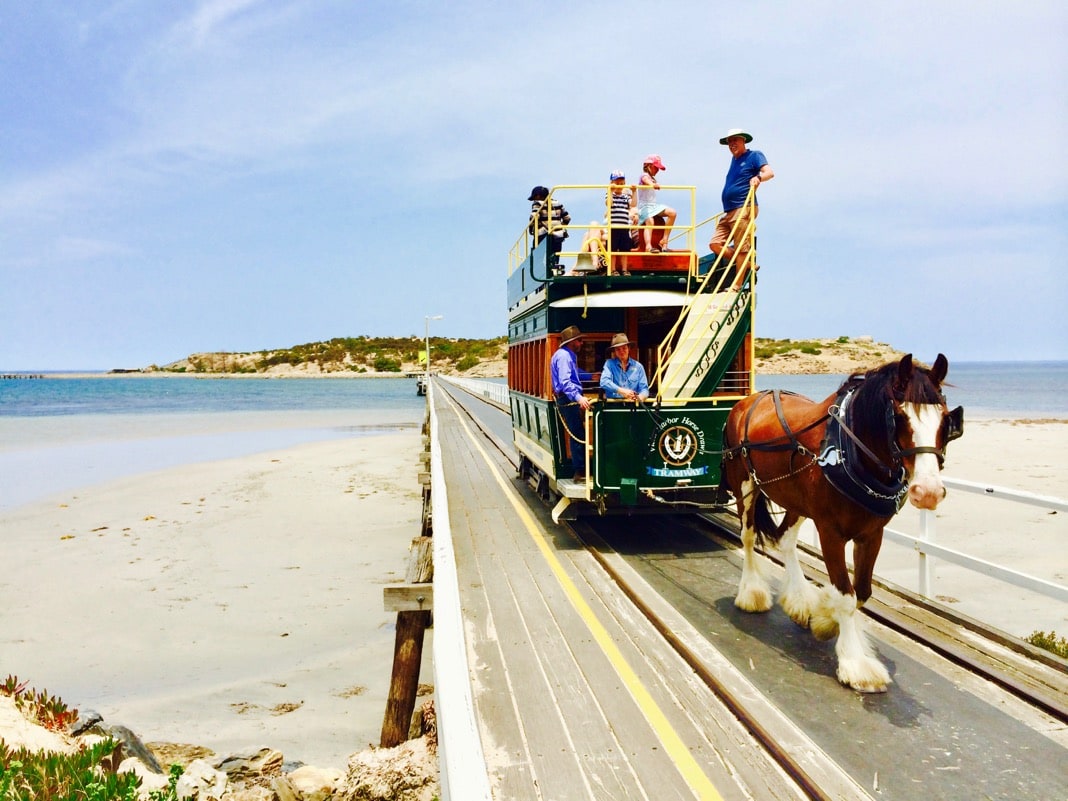 Victor Harbor Horse Drawn Tram Granite Island