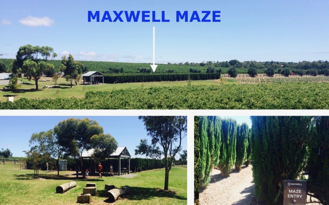 Maxwell Maze Labyrinth McLaren Vale