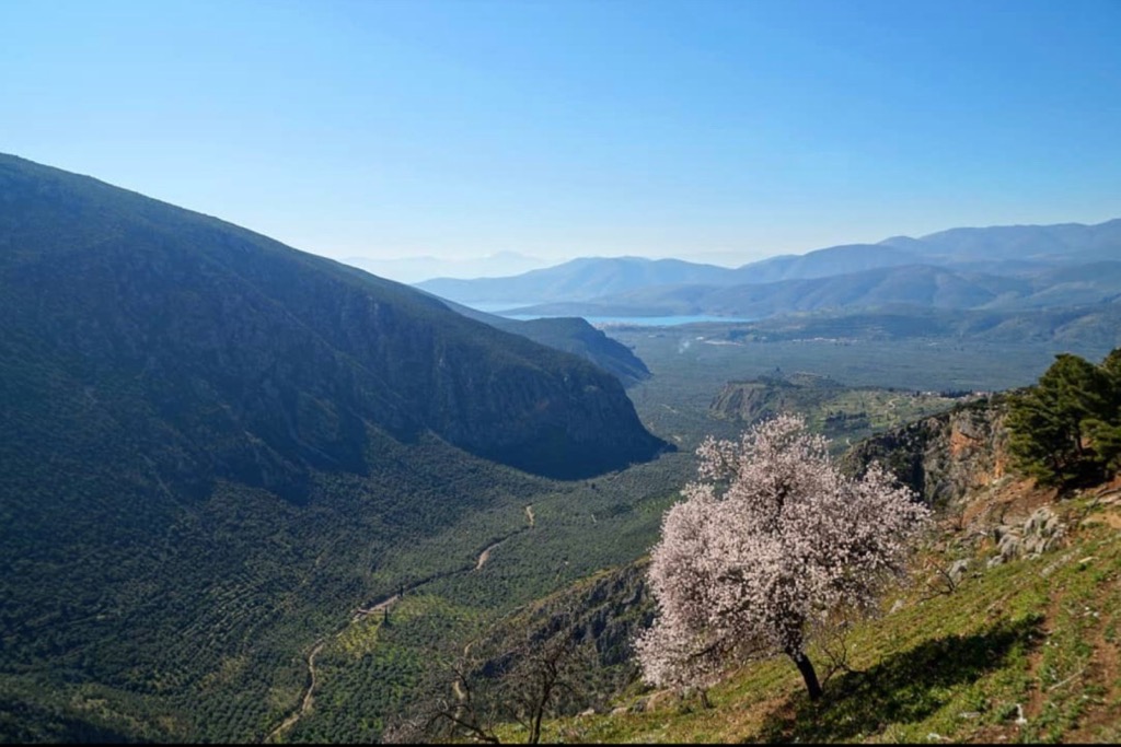 Delphi Mountains