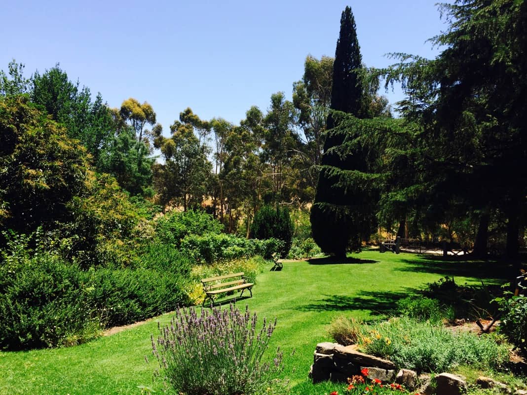 The Cedars Garden Adelaide Hills