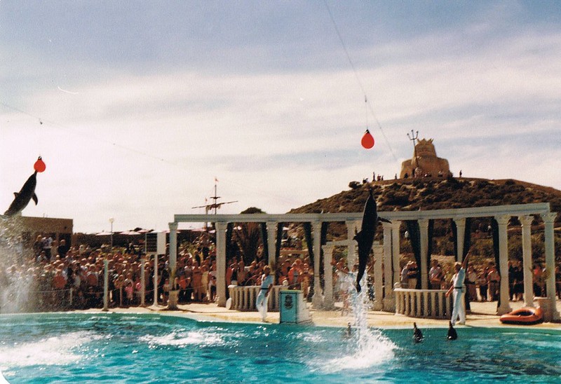 Atlantis Dolphin Show