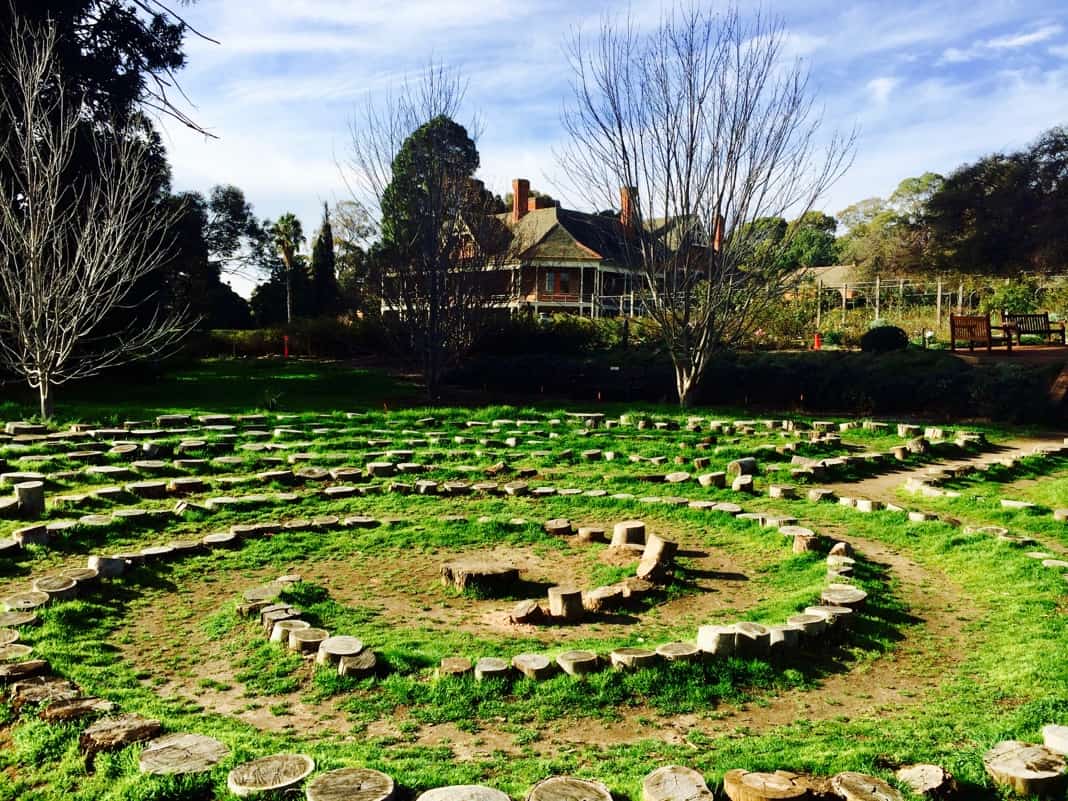 Waite Arboretum Labyrinth Adelaide