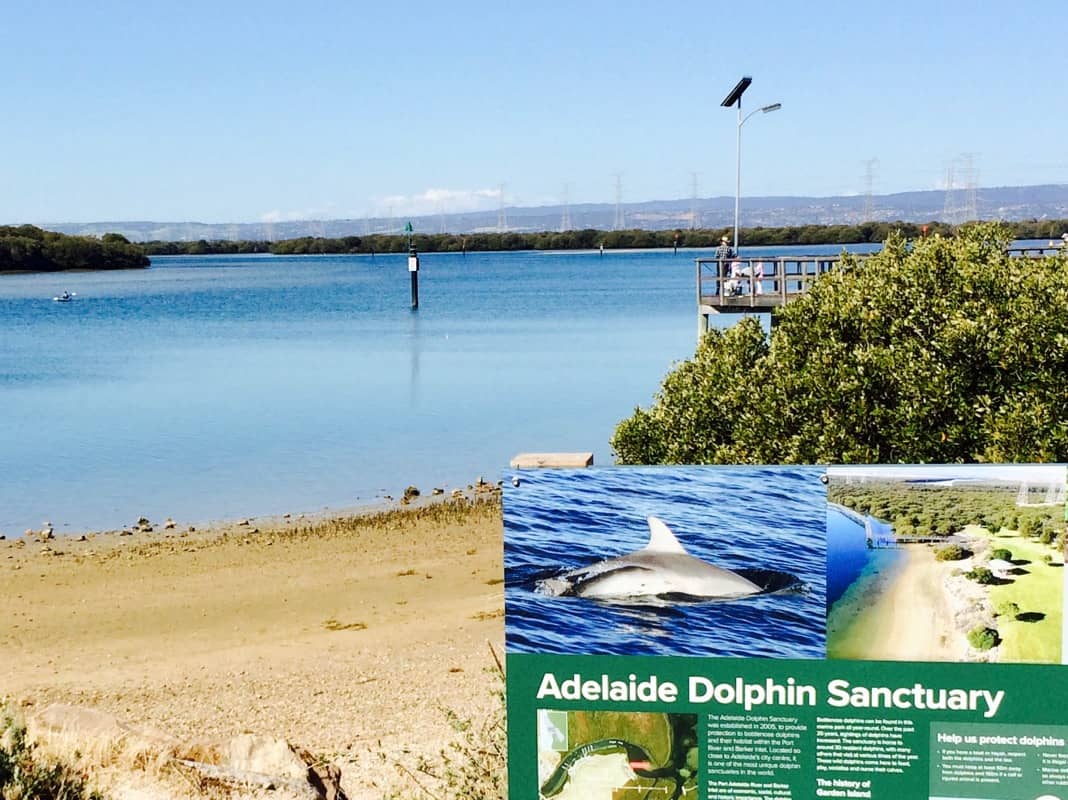 Adelaide Dolphin Sanctuary