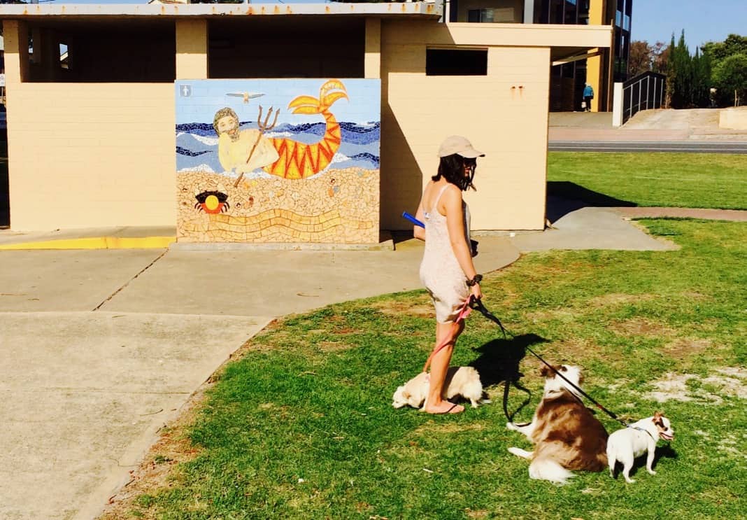 Largs Bay Public Toilet Mural