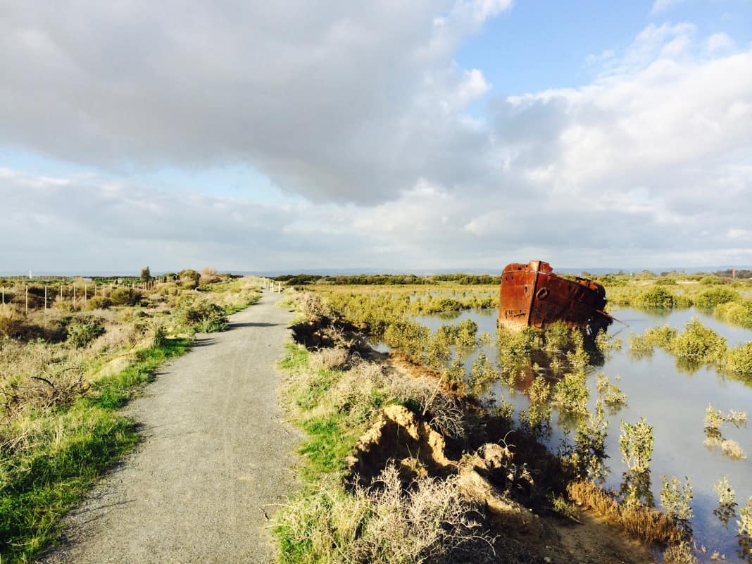 Mutton Cove Conservation Reserve