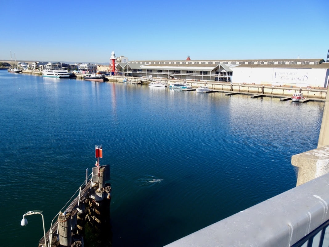 View from Birkenhead bridge in Port Adelaide