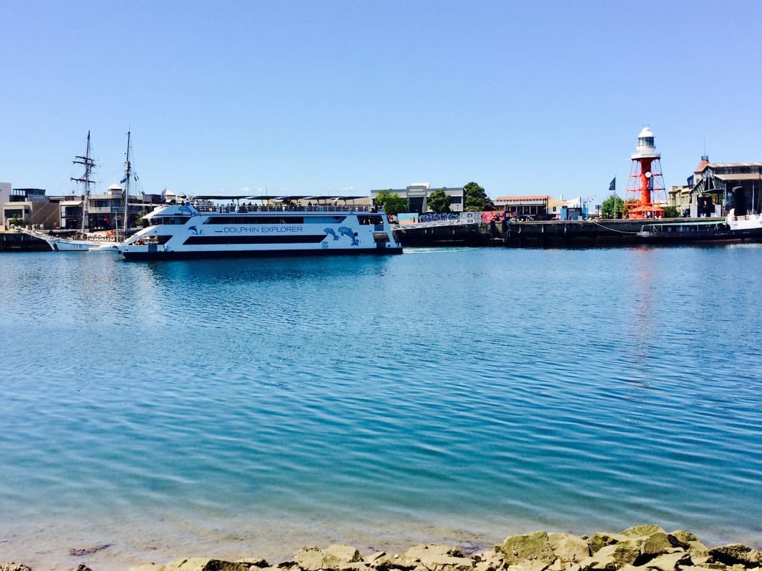 Port Adelaide Attractions Dolphin Explorer